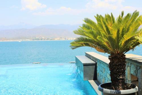 a palm tree in a pot next to a swimming pool at Casa Blanca in Fethiye