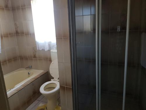 a bathroom with a toilet and a shower and a sink at Louhallas Accommodation in Edenvale