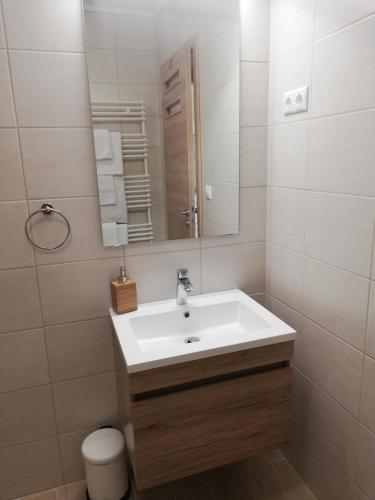 a bathroom with a sink and a mirror and a toilet at Nockalm Cottage in Bad Kleinkirchheim