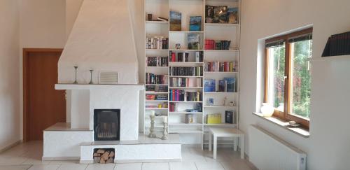 a fireplace in a living room with a book shelf at Burgauer Hof in Burgau