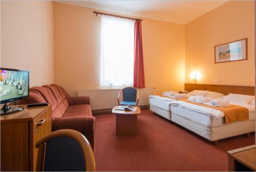 a hotel room with a bed and a television at Erzsébet Park Hotel in Parád