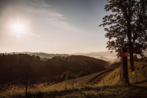 a tree on a hill with a view of a valley at Weingut Kollerhof am Eichberg in Leutschach