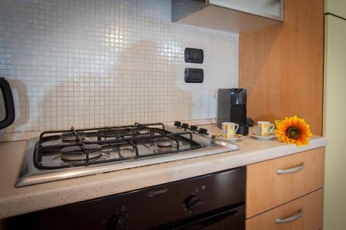 a stove top in a kitchen with a sunflower on the counter at Ville del Mar in San Teodoro