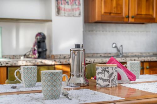 Cucina o angolo cottura di Penthouse Central apartments vista Monte Priesnig