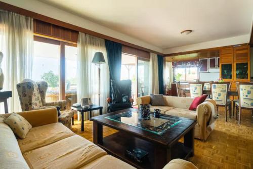 Elena's Athenian Penthouse
