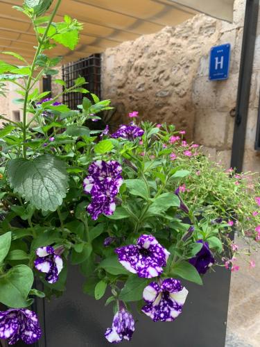 a bunch of purple flowers in a pot at Hotel Cardenal Ram in Morella