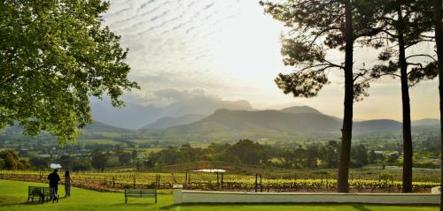 a person standing in a field with mountains in the background at La Petite Ferme in Franschhoek