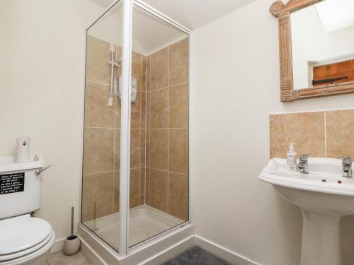 a bathroom with a shower and a toilet and a sink at Little Pandy Cottage in Mold