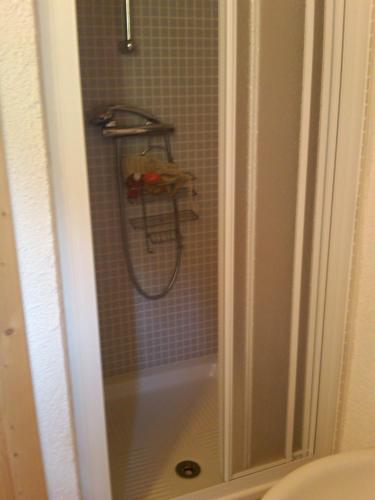 a shower in a bathroom with a shower at Ronchet Baita Vanoi Trentino in Ronco