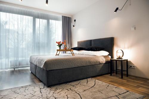 EASY RENT APARTAMENTS - Silver 9, Basen & SPA, Centrum Free Parking 24h Check-in