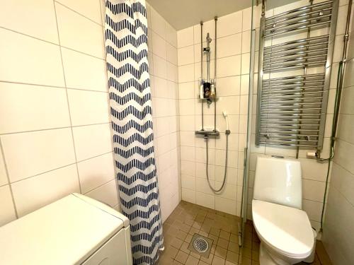 uma casa de banho com um WC e um chuveiro em Kiva majoitus 1-4hlö, 500m keskustaan, parkkipaikka em Oulu