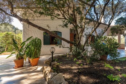 Villa Gina a due passi dal mare