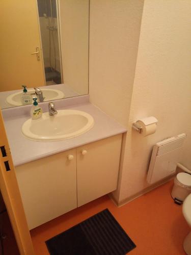 une salle de bain avec un lavabo et un miroir dans l'établissement Maisonnette des Vignes, à Calvisson