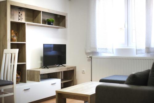 a living room with a couch and a tv at Aster Apartments in Belgrade