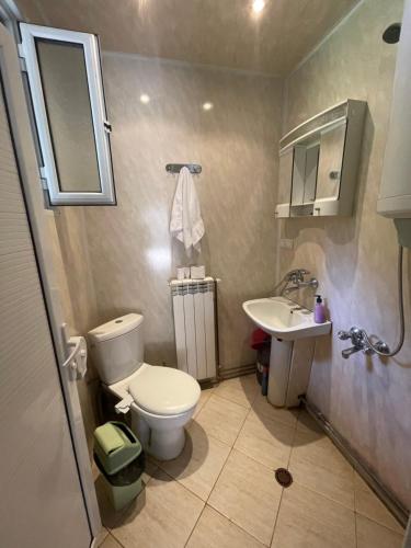 La salle de bains est pourvue de toilettes et d'un lavabo. dans l'établissement Вила Мерджан, à Sarnitsa