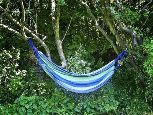 a blue hammock hanging from a tree at The Old Post Office, Lanchester in Lanchester