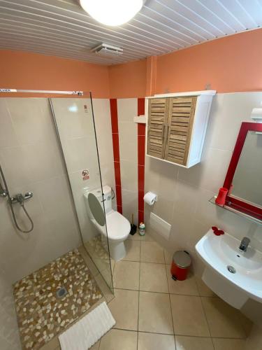 a bathroom with a shower and a toilet and a sink at Locations Morne aux Vents in Fond Boucher