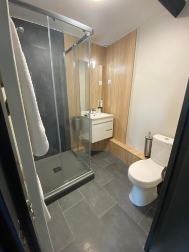 W łazience znajduje się prysznic, toaleta i umywalka. w obiekcie L'Escale du Vexin w mieście Chaumont-en-Vexin