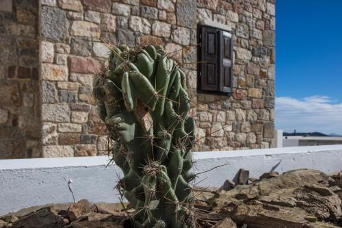 Fotografie z fotogalerie ubytování Roccia di Isidoro v destinaci Áyios Isídhoros