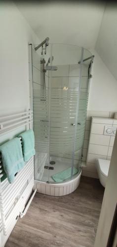 a glass shower in a bathroom with a sink at Hotel Pension Haus Irene in Hohwacht