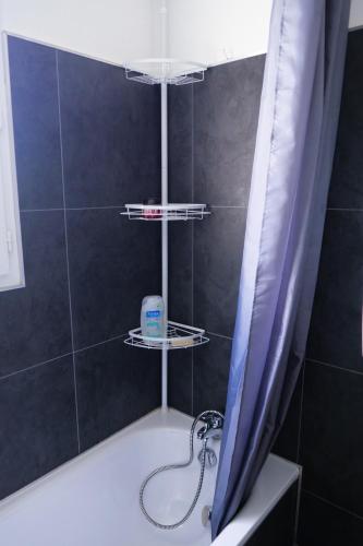 La salle de bains est pourvue d'une baignoire avec rideau de douche. dans l'établissement Chambre d'hôte Les Cottages de Sainte Émilie, à Annonay