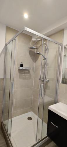 une douche avec une porte vitrée dans une salle de bain dans l'établissement Großes schönes Ferienhaus mit Garten für 12 Personen erwartet Sie im Harz!, à Sankt-Andreasberg