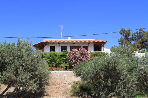 een huis in het midden van een tuin met struiken bij Traditional Olive House in Makry Gialos