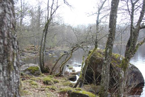 a river with trees and rocks next to a body of water at Yxkullsund Säteri B&B - Manor & Estate since 1662 in Lagan