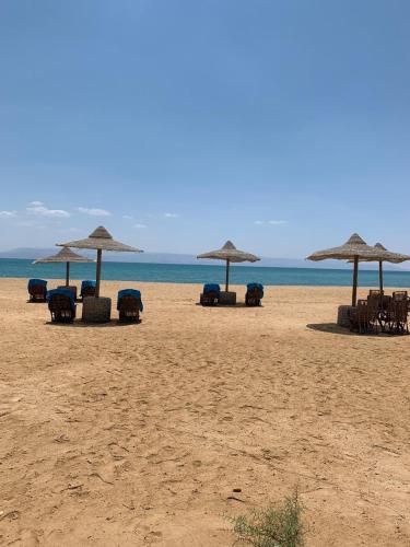 a group of chairs and umbrellas on a beach at La Perla Resort Ras Sudr in Ras Sedr