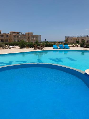 a large blue swimming pool with blue chairs and buildings at La Perla Resort Ras Sudr in Ras Sedr
