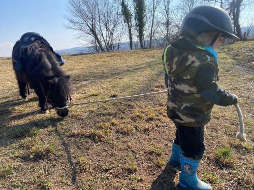 a young child with a horse in a field at Oca Carolina in Buttigliera Alta