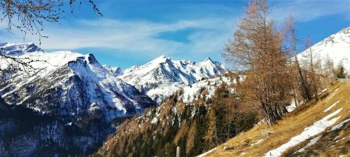 a snow covered mountain range with a tree on a hill at Appartement Seppenbauer - Seppenbauerhof in Heiligenblut