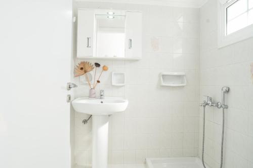 La salle de bains blanche est pourvue d'un lavabo et d'une douche. dans l'établissement Milena Studios, à Argassi