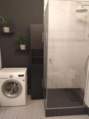 een wasmachine in een badkamer met een douche bij NDM Apartament in Warschau