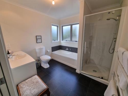 a bathroom with a toilet and a shower and a sink at Tree House in Taieri Mouth