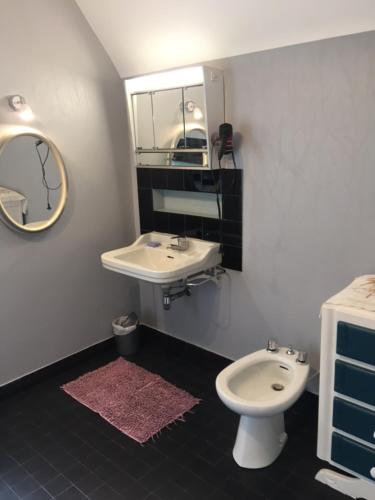 ein Badezimmer mit einem Waschbecken, einem WC und einem Spiegel in der Unterkunft Maison Proche de Barfleur accolée à un commerce in Anneville-en-Saire
