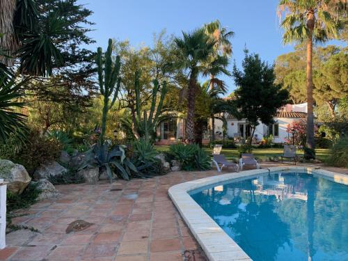 una piscina en un patio con palmeras en Finca Filpi en Chiclana de la Frontera