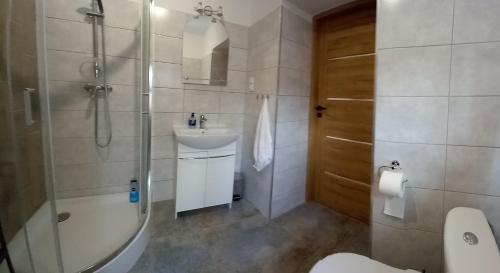 a bathroom with a shower and a sink and a toilet at Apartamenty Kościuszki in Stronie Śląskie