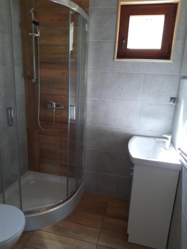 雷恩的住宿－Domki nad Stawem w Rynie，带淋浴、卫生间和盥洗盆的浴室