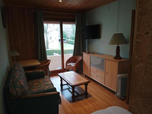 ein Wohnzimmer mit einem Sofa, einem Stuhl und einem TV in der Unterkunft appartement meublé in Vizille
