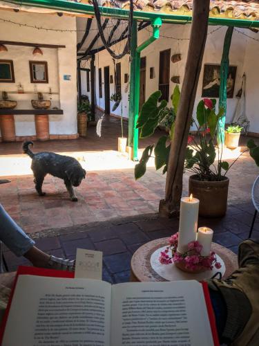 a person reading a book with a dog in a courtyard at Nacuma Garden Hostel - Casa Nacuma in Barichara