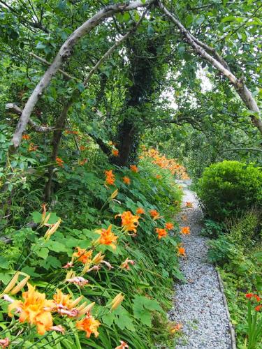Κήπος έξω από το St Kew Escapes Nr Port Isaac