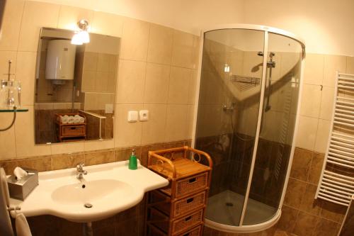 ein Bad mit einem Waschbecken und einer Dusche in der Unterkunft Apartmán Bílý Kříž in Staré Hamry