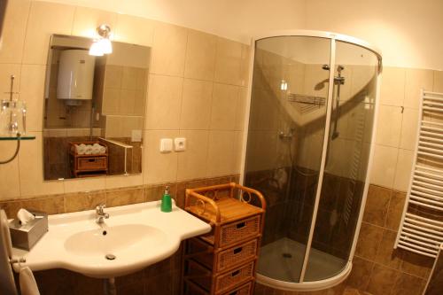Koupelna v ubytování Apartmán Bílý Kříž