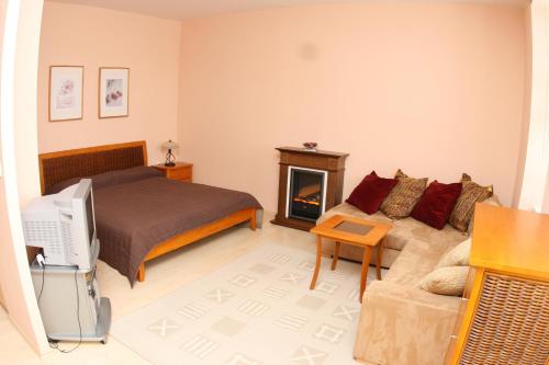 uma sala de estar com uma cama e um sofá em Apartmán Bílý Kříž em Staré Hamry