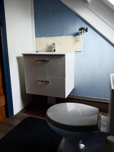 a bathroom with a toilet and a sink at Craftycotta in Glomel