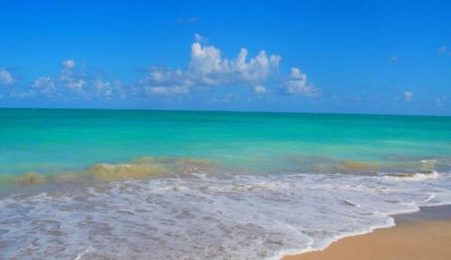 a view of a beach with the ocean at Maragobeach Suits in Maragogi