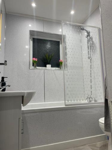 a bathroom with a shower with two flowers in a window at Bluebell lodge in Fort William