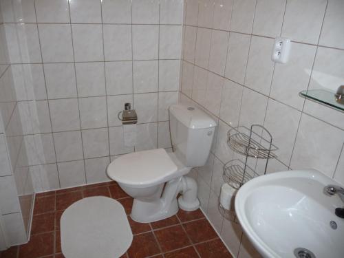 a bathroom with a white toilet and a sink at BLUE PENSiON in Svoboda nad Úpou