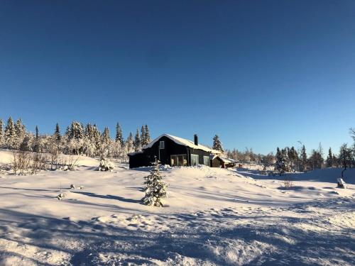 uma cabana de madeira na neve com árvores em Skarvebo - cabin with amazing view em Myro